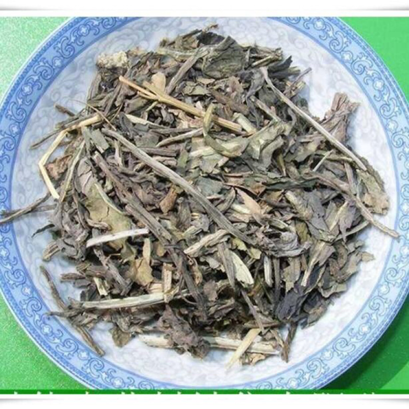 大青叶野生大青叶子