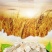 葛根低温烘焙葛根五谷杂粮磨坊粉豆浆粉原料批发