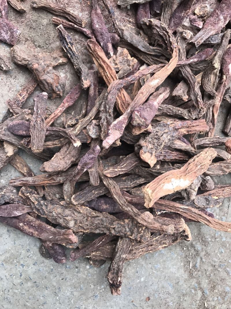 【精品推荐】🔥内蒙金锁阳批发，量大从优