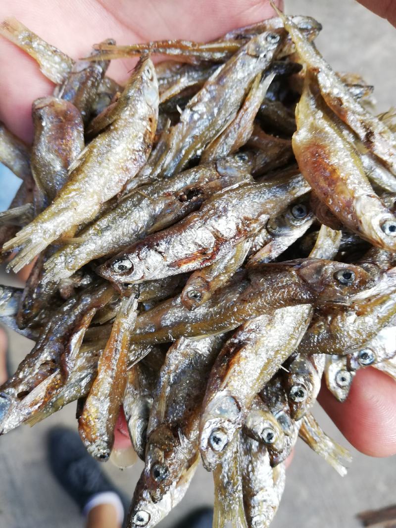 油炸鱼干、油炸白肖鱼、自然鱼干、水库鱼干、河水鱼干