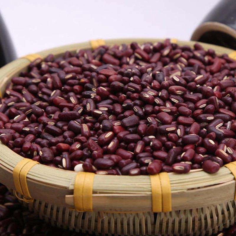 赤小豆熟赤小豆低温烘焙五谷杂粮磨坊粉豆浆粉原料