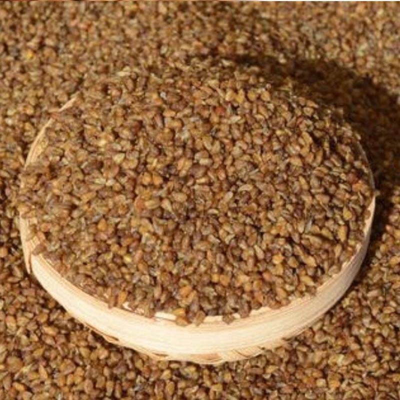 黑苦荞熟黑苦荞低温烘焙五谷杂粮磨坊粉豆浆粉原料