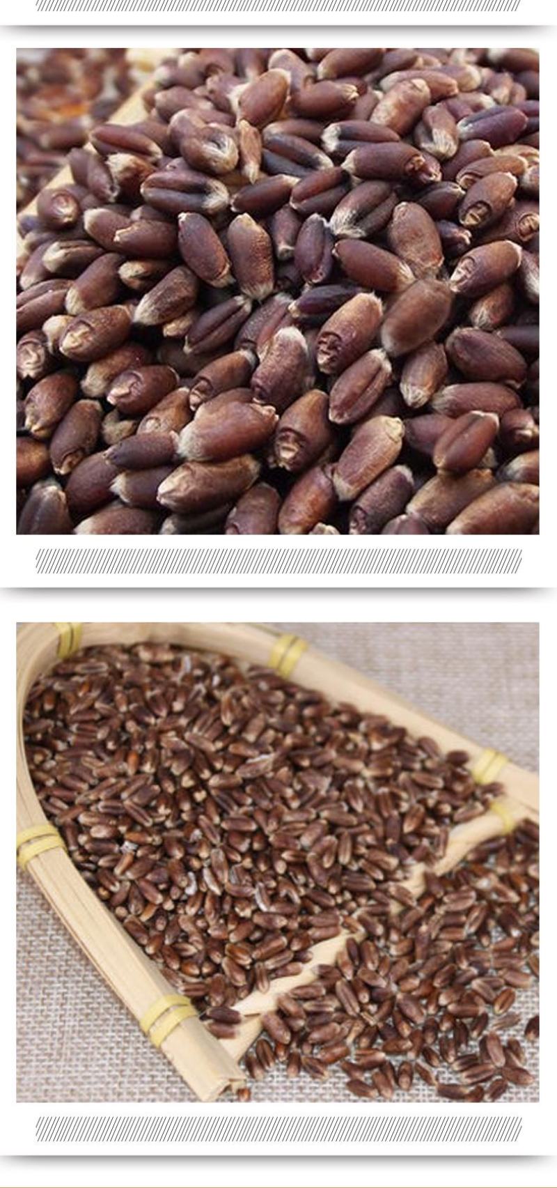 熟黑麦黑麦低温烘焙五谷杂粮磨坊粉豆浆粉原料