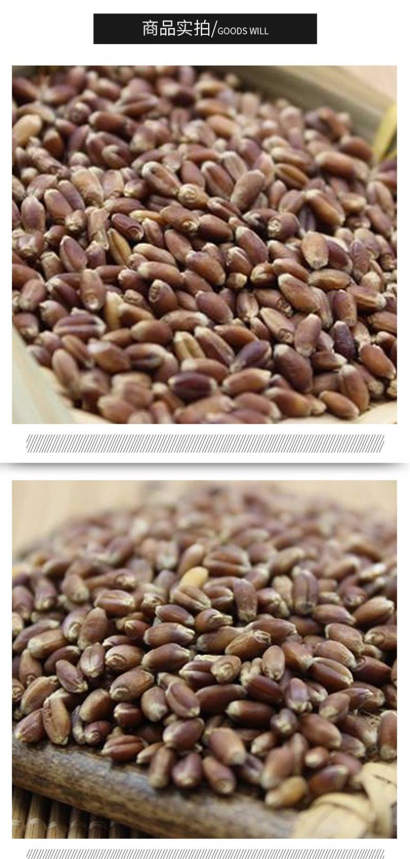 熟黑麦黑麦低温烘焙五谷杂粮磨坊粉豆浆粉原料