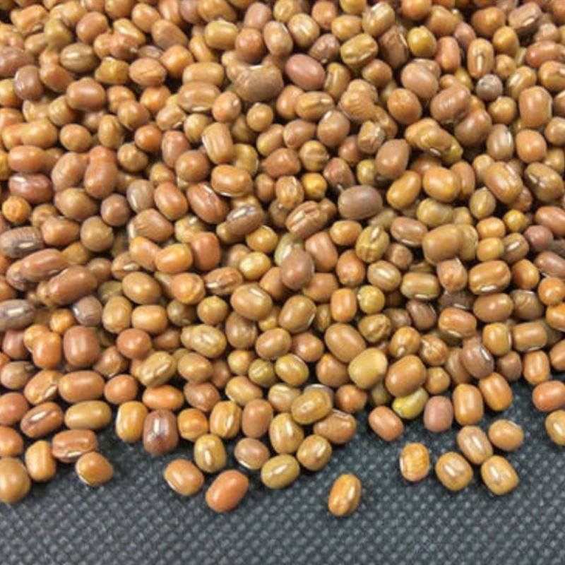 熟绿豆绿豆低温烘焙五谷杂粮磨坊粉豆浆粉原料