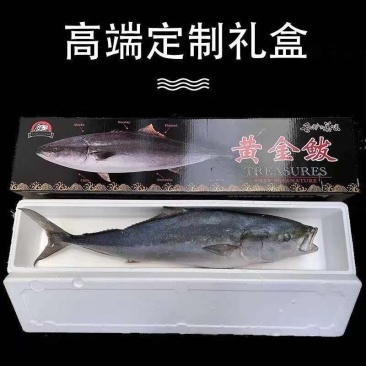 黄金鲅（一款深海鱼鲜活速冻的吃起来口感特别鲜）