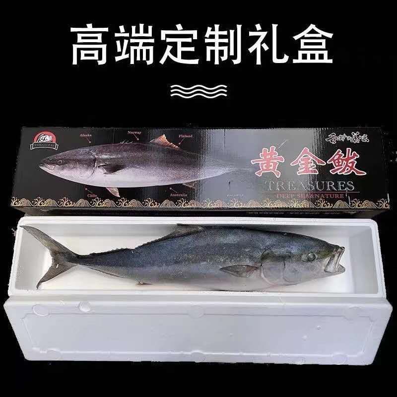 黄金鲅（一款深海鱼鲜活速冻的吃起来口感特别鲜）