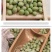 低温烘焙熟青豆五谷杂粮磨坊粉豆浆粉原料批发