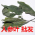 人参叶一手货源产地直销