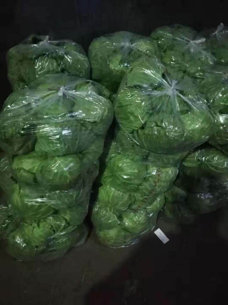新茬精品薄皮青圆包菜大棚甘蓝基地，松软，质优，实力代办，