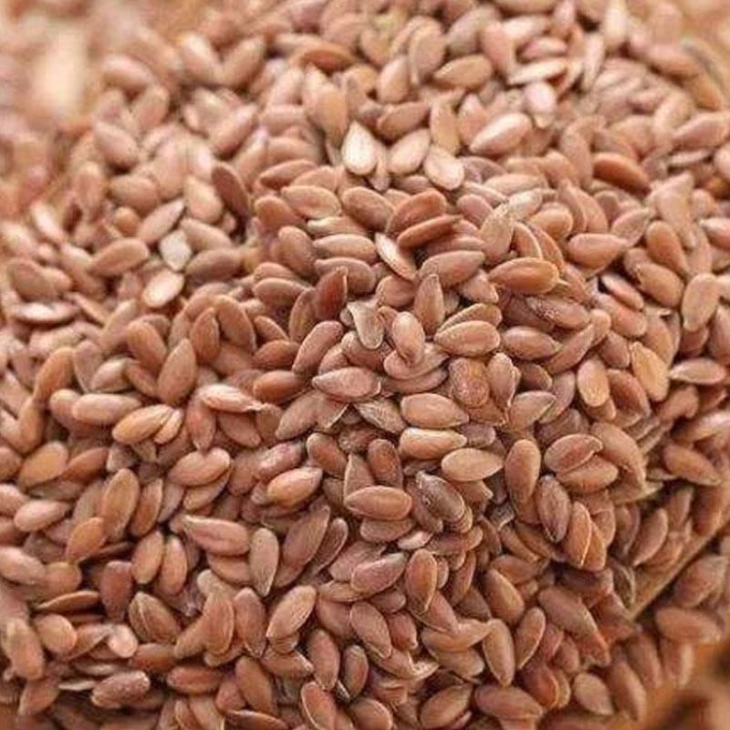 熟棕色亚麻籽低温烘焙五谷杂粮磨坊粉豆浆粉原料批发