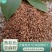 熟棕色亚麻籽低温烘焙五谷杂粮磨坊粉豆浆粉原料批发