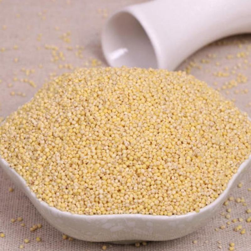 熟小米黄小米低温烘焙五谷杂粮磨坊粉豆浆粉原料