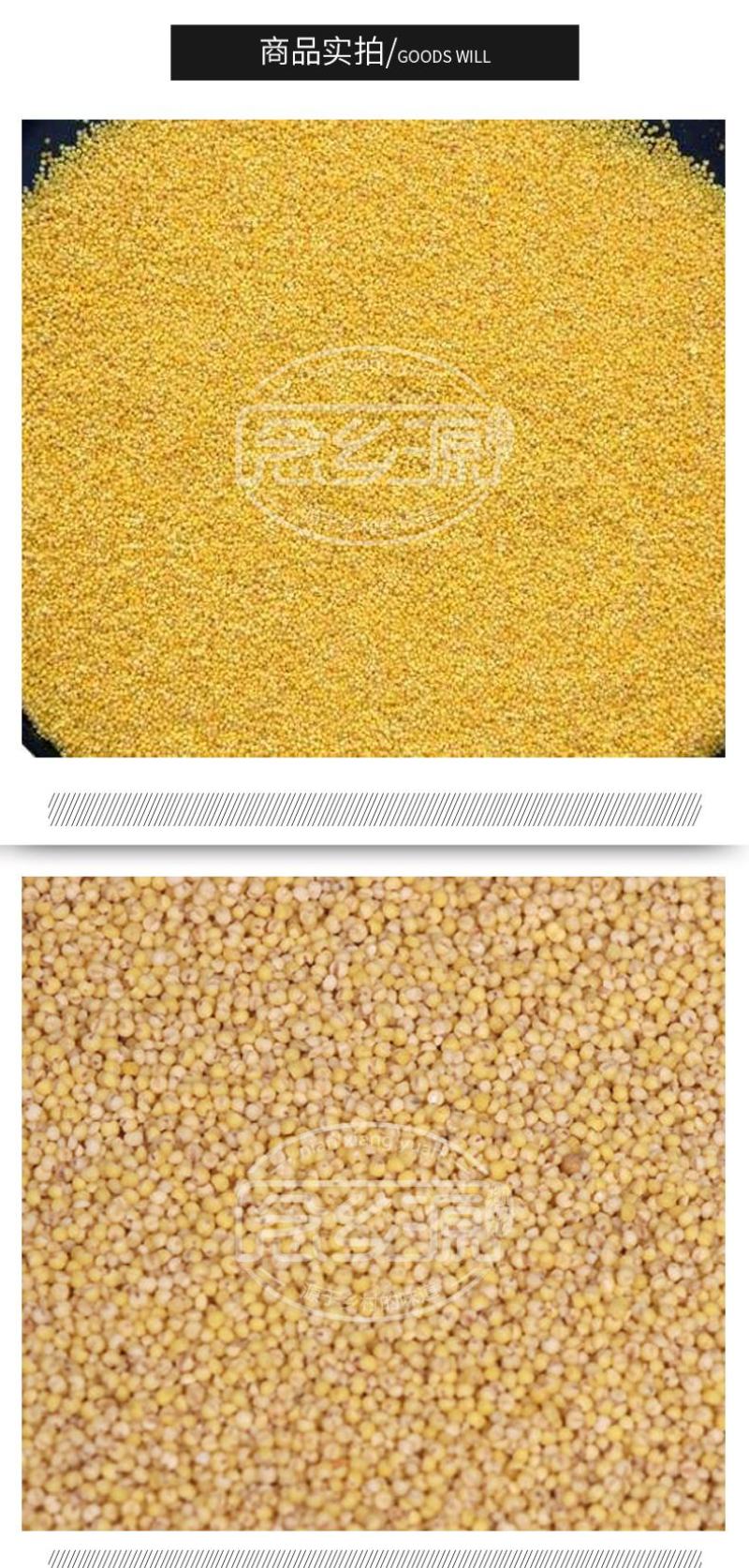 熟小米黄小米低温烘焙五谷杂粮磨坊粉豆浆粉原料