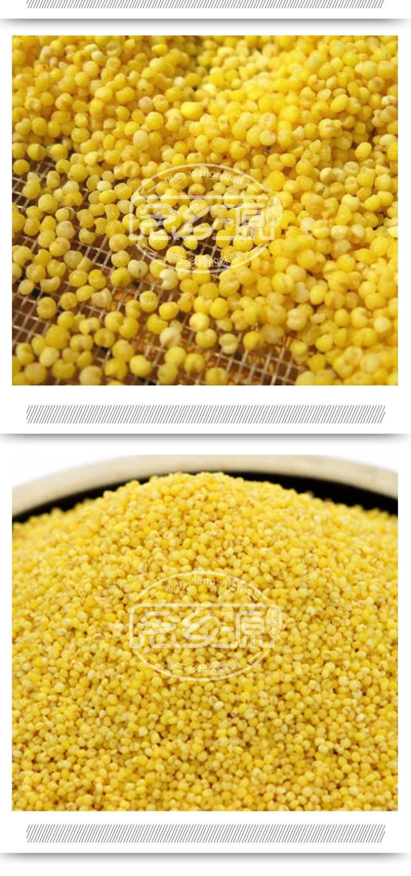 熟小米黄小米低温烘焙五谷杂粮磨坊粉豆浆粉原料