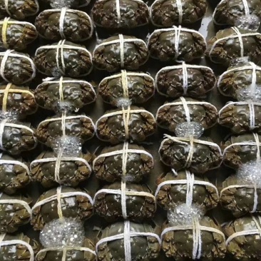 [正宗]阳澄湖特级精品礼盒大闸蟹，假一罚十