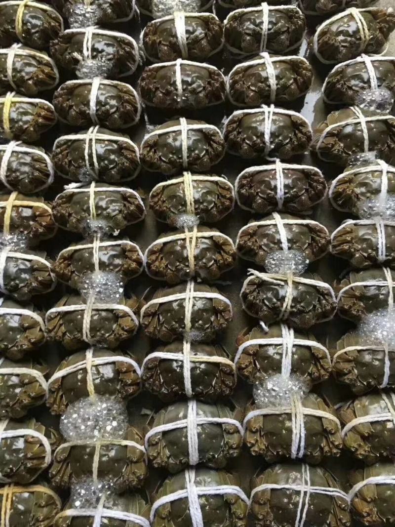[正宗]阳澄湖特级精品礼盒大闸蟹，假一罚十