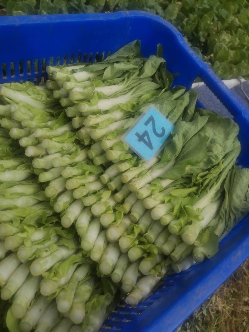 你想要的，我尽可能满足！