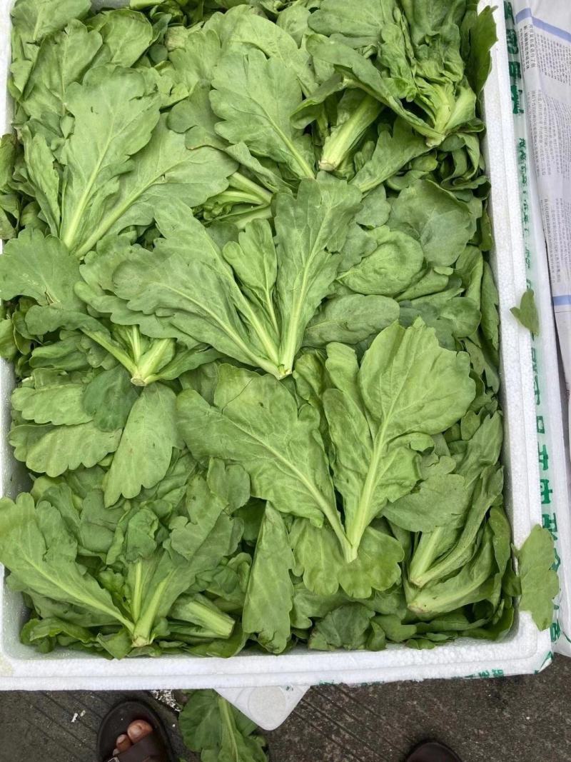 你想要的，我尽可能满足！