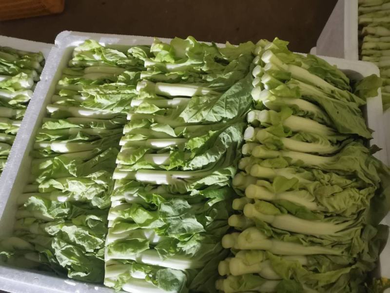 你想要的，我尽可能满足！