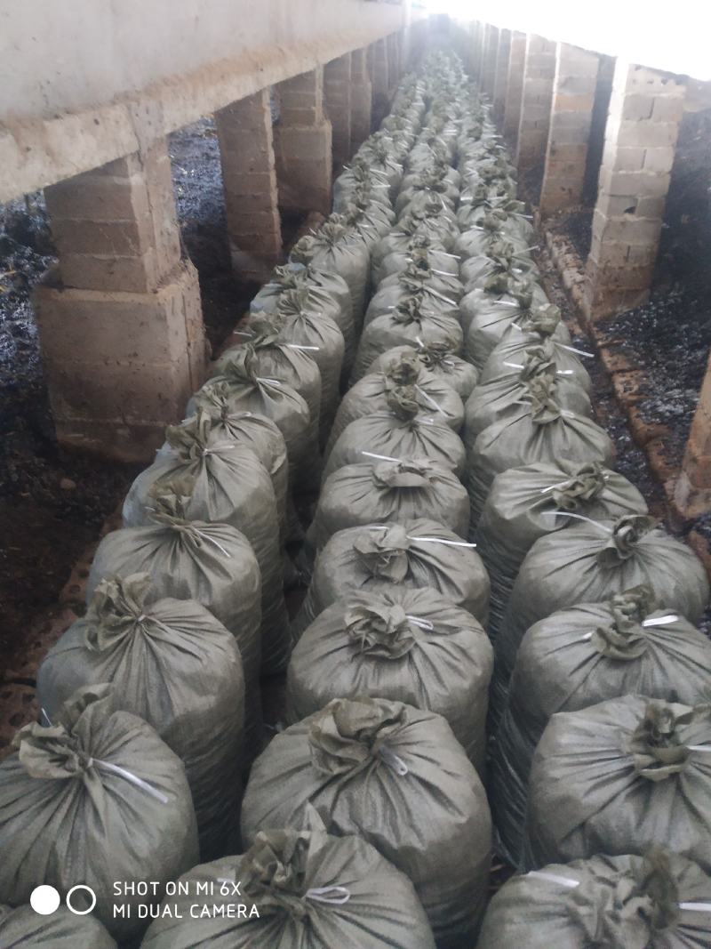 纯羊粪颗粒羊粪羊场自产发酵腐熟全国接咨询