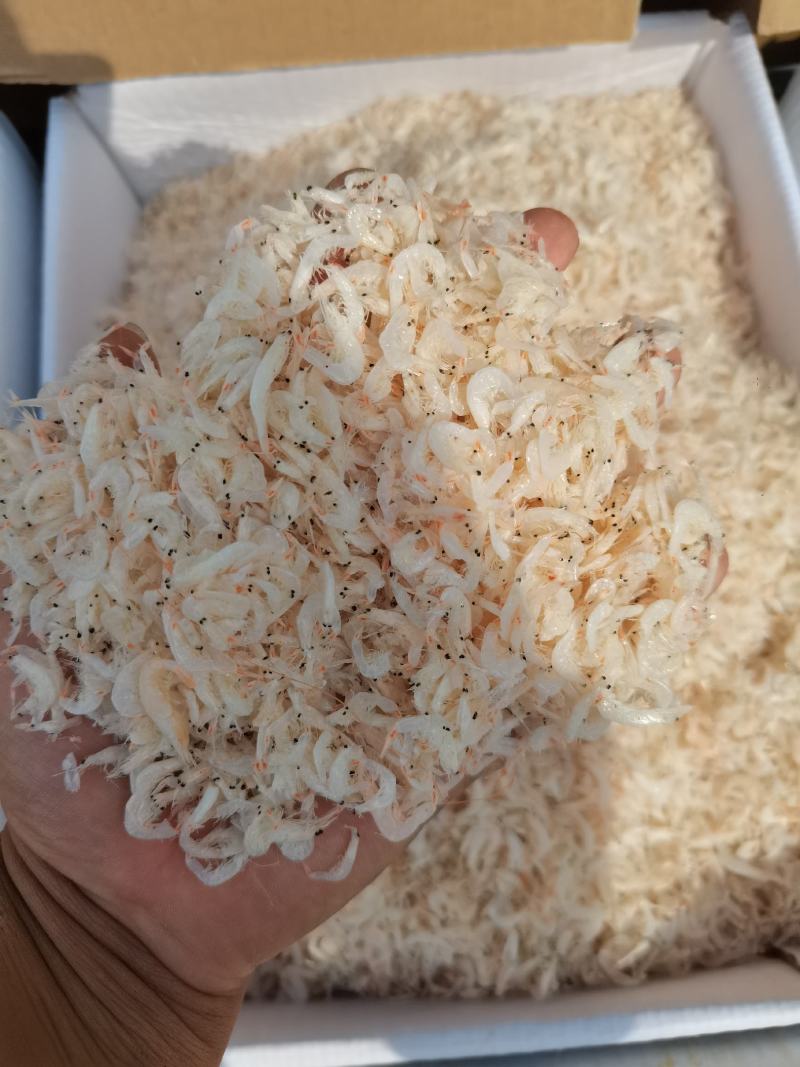 渤海湾低盐虾皮纯人工晾晒盐杂质少社区拼单样品