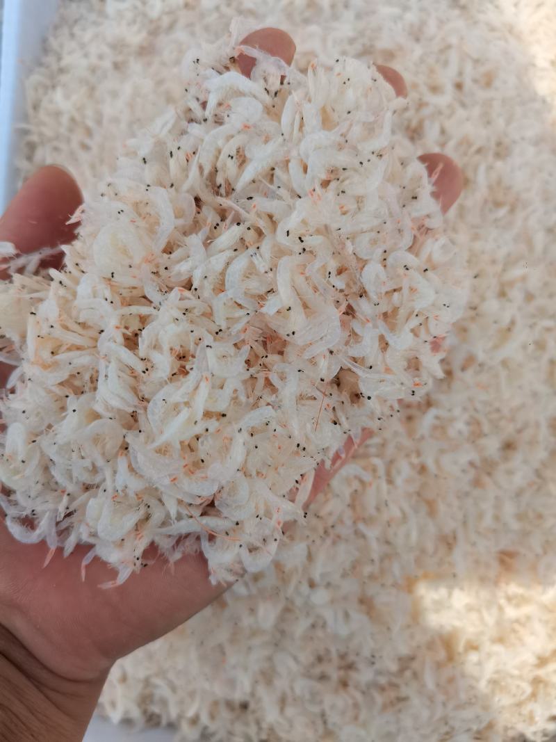 渤海湾低盐虾皮纯人工晾晒盐杂质少社区拼单样品
