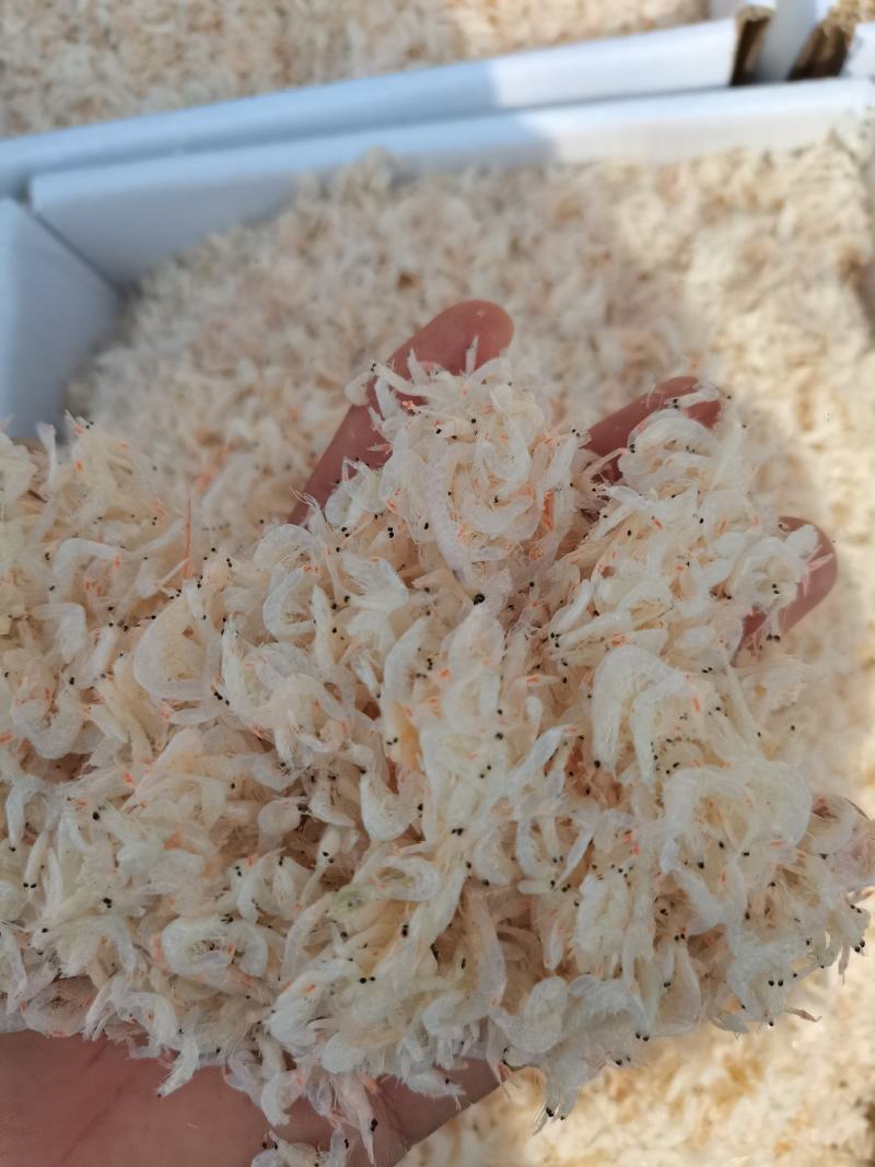 渤海湾低盐虾皮纯人工晾晒盐杂质少社区拼单样品