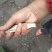 草鱼苗，广草鱼苗，长势快，成活高，量大从优，欢迎各位订购