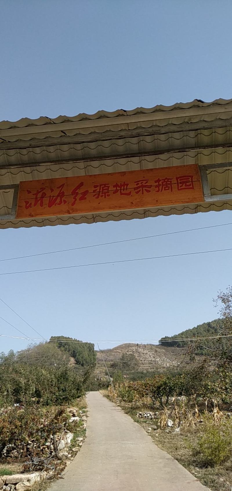 【红富士苹果】产地直供，条纹精品，脆甜多汁，产地现摘发货