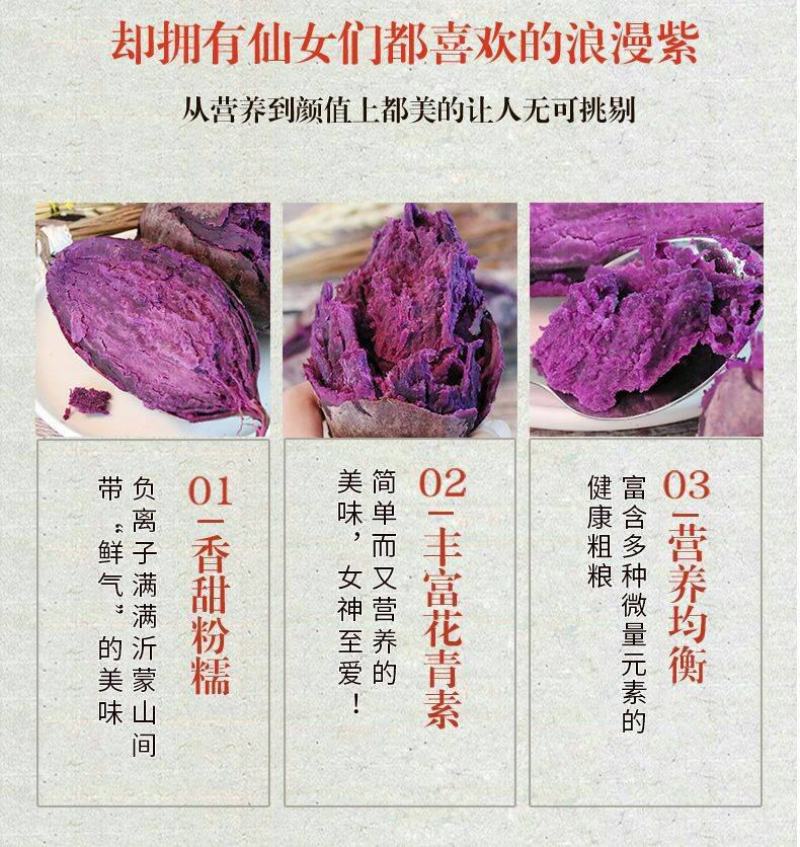 山药紫色山药现挖现卖紫山药新鲜紫山药花青素山药包邮