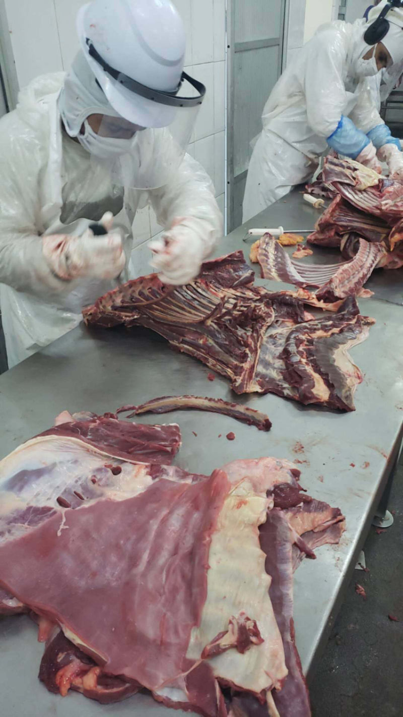 马肉，精修，肋条，前后分割