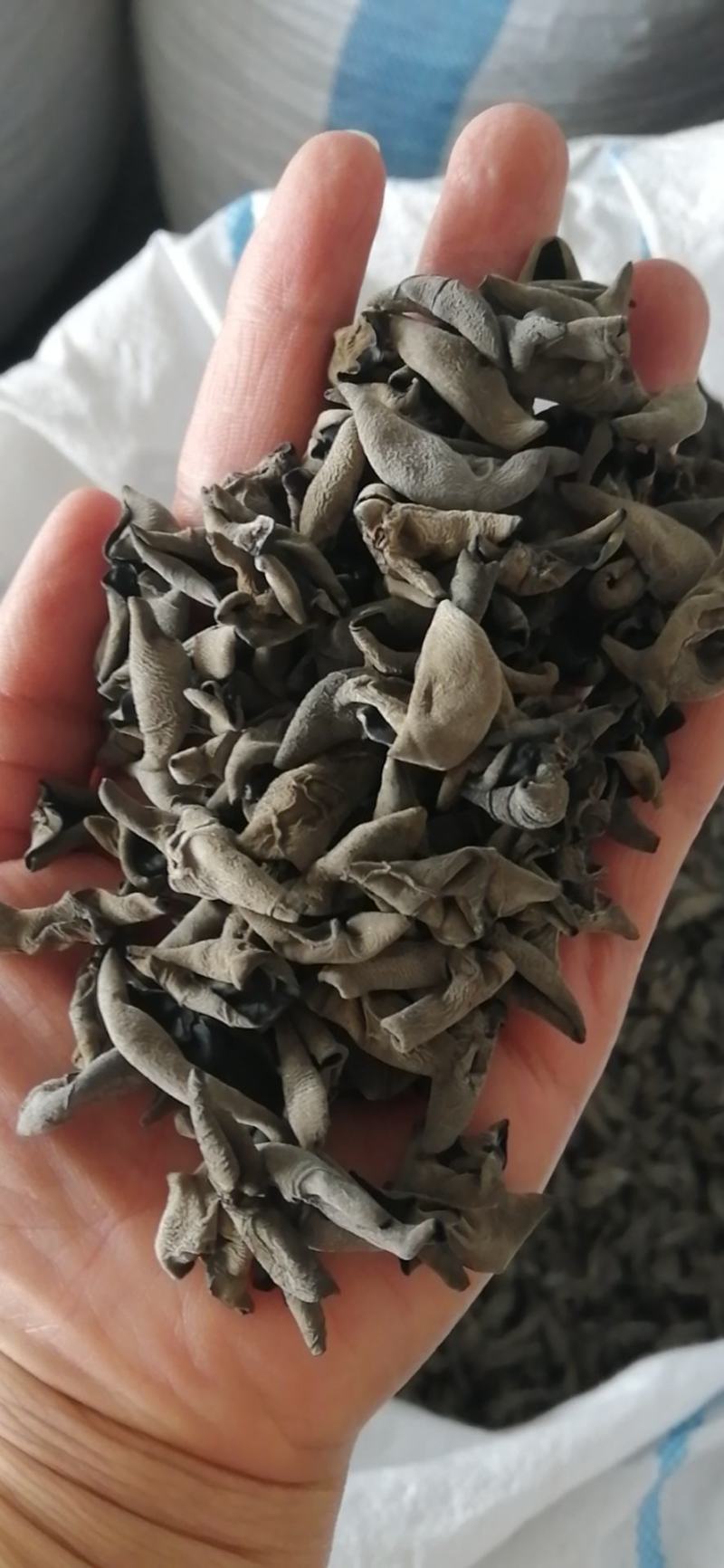 黑木耳大量批发零售各种黑木耳，质量好价格低，欢迎各位老板