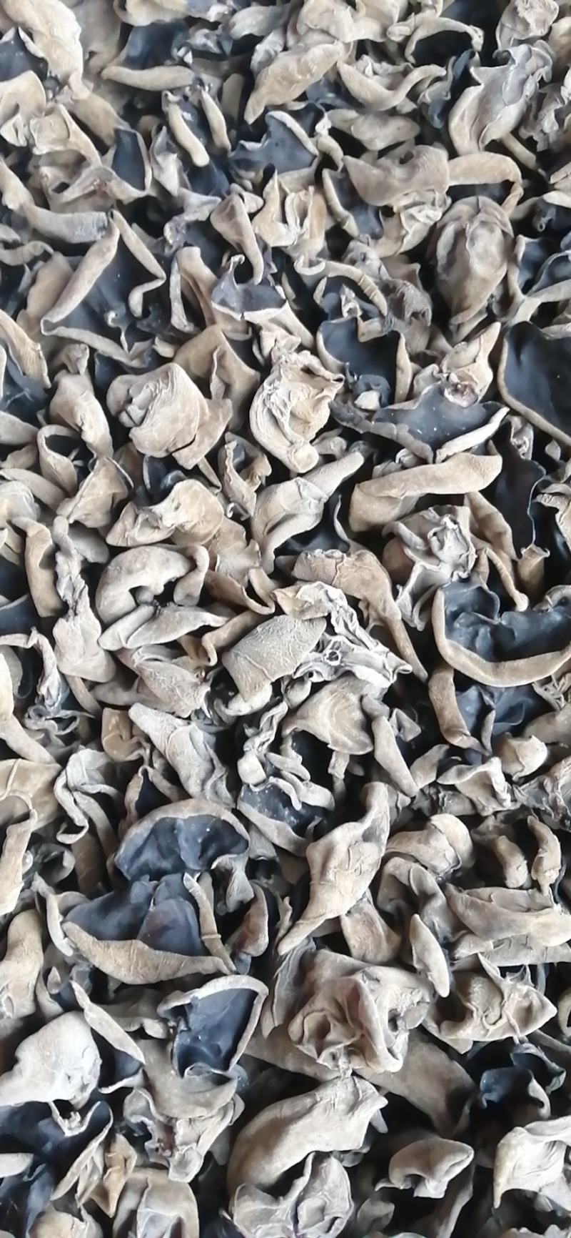 黑木耳大量批发零售各种黑木耳，质量好价格低，欢迎各位老板
