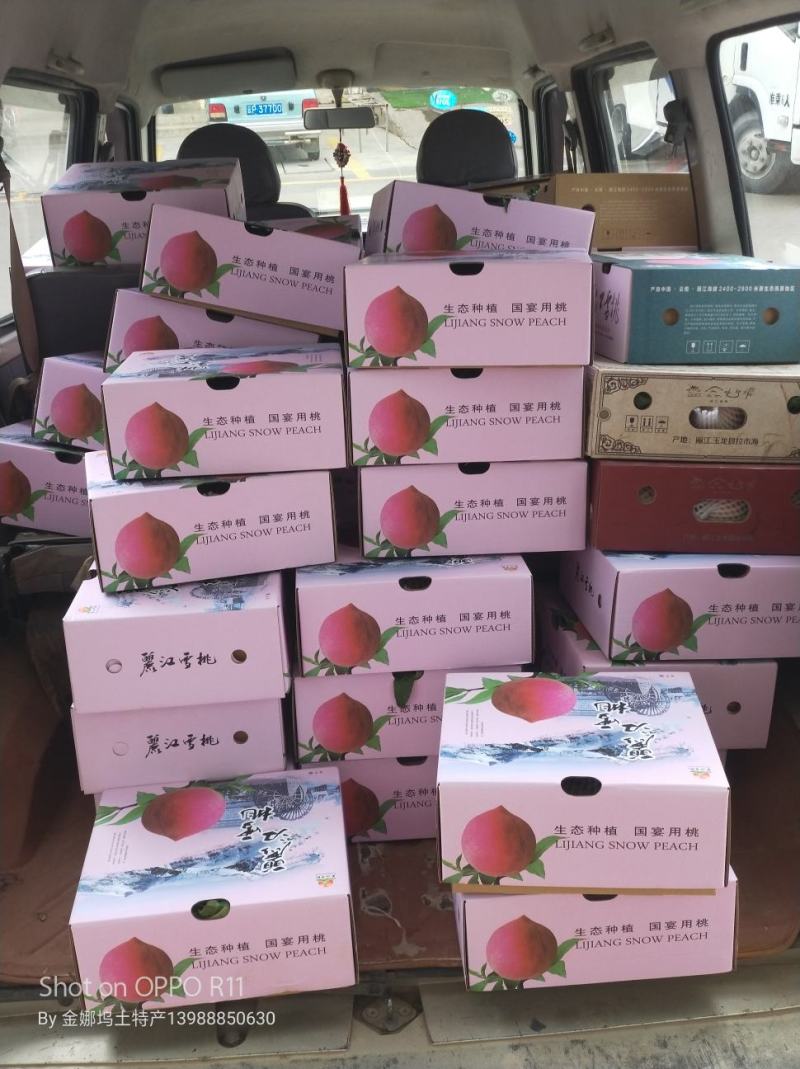丽江雪桃，国宴用桃，地里直发