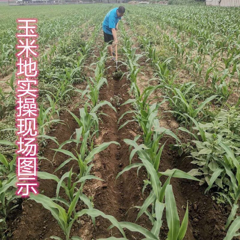草莓种菜三角开沟锄尖锄镐拉锄起垄楼沟鹰嘴尖锄头开荒施肥锄