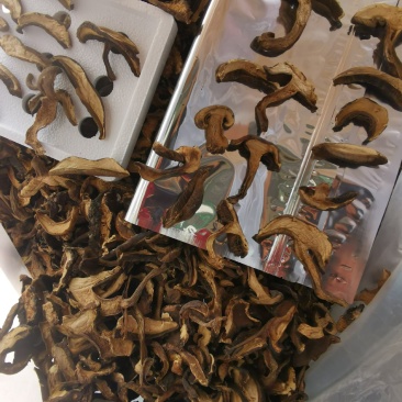 云南特产黑牛肝菌老家产地货源大量现货批发