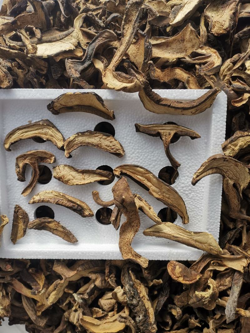 云南特产黑牛肝菌老家产地货源大量现货批发