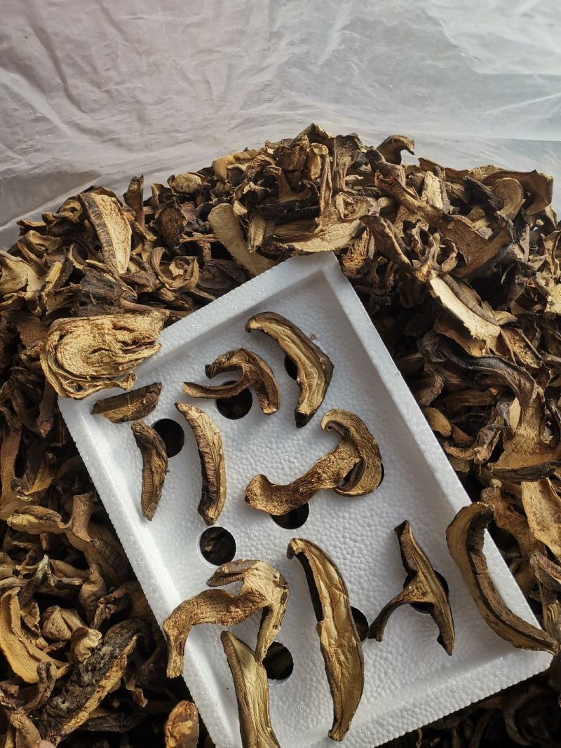 云南特产黑牛肝菌老家产地货源大量现货批发