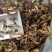 云南特产黑牛肝菌老家产地货源大量现货批发