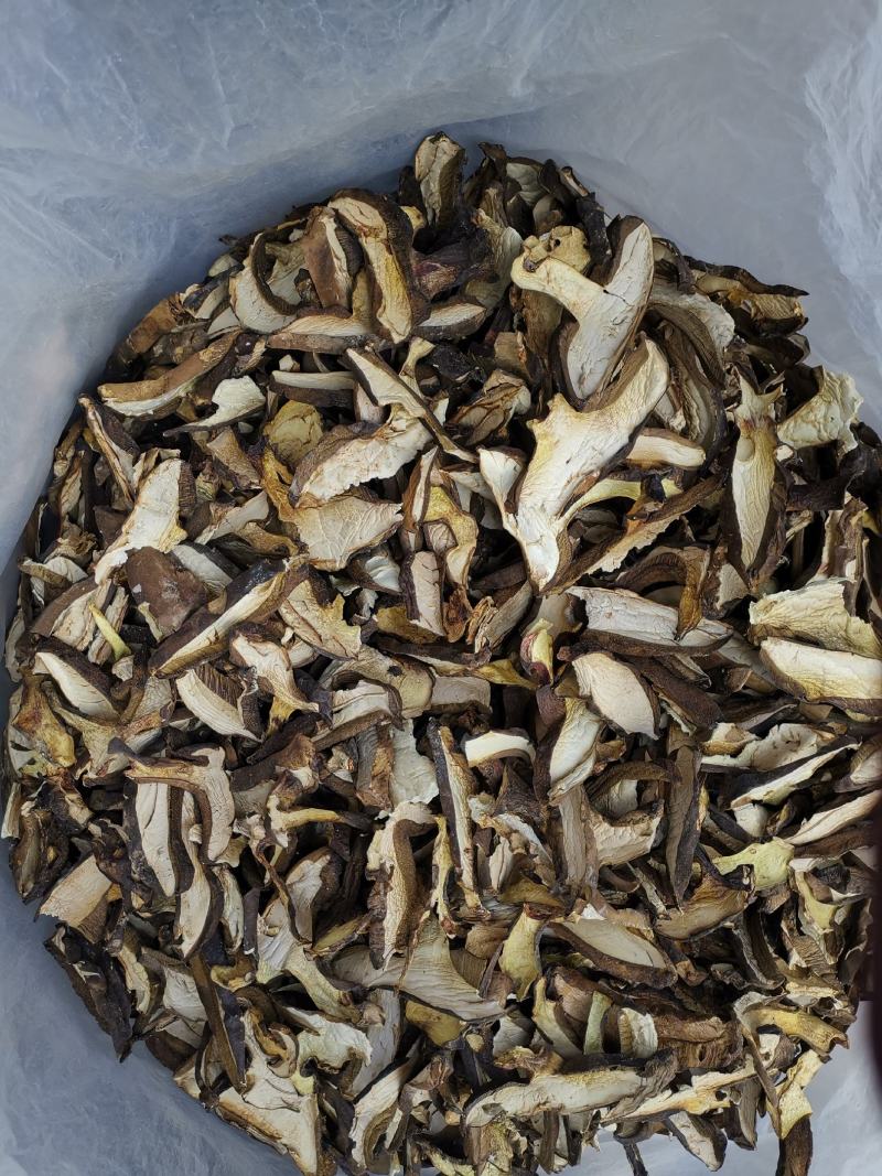 云南特产牛肝菌黑牛肝菌黑木瓦菌老家产地货源大量供应