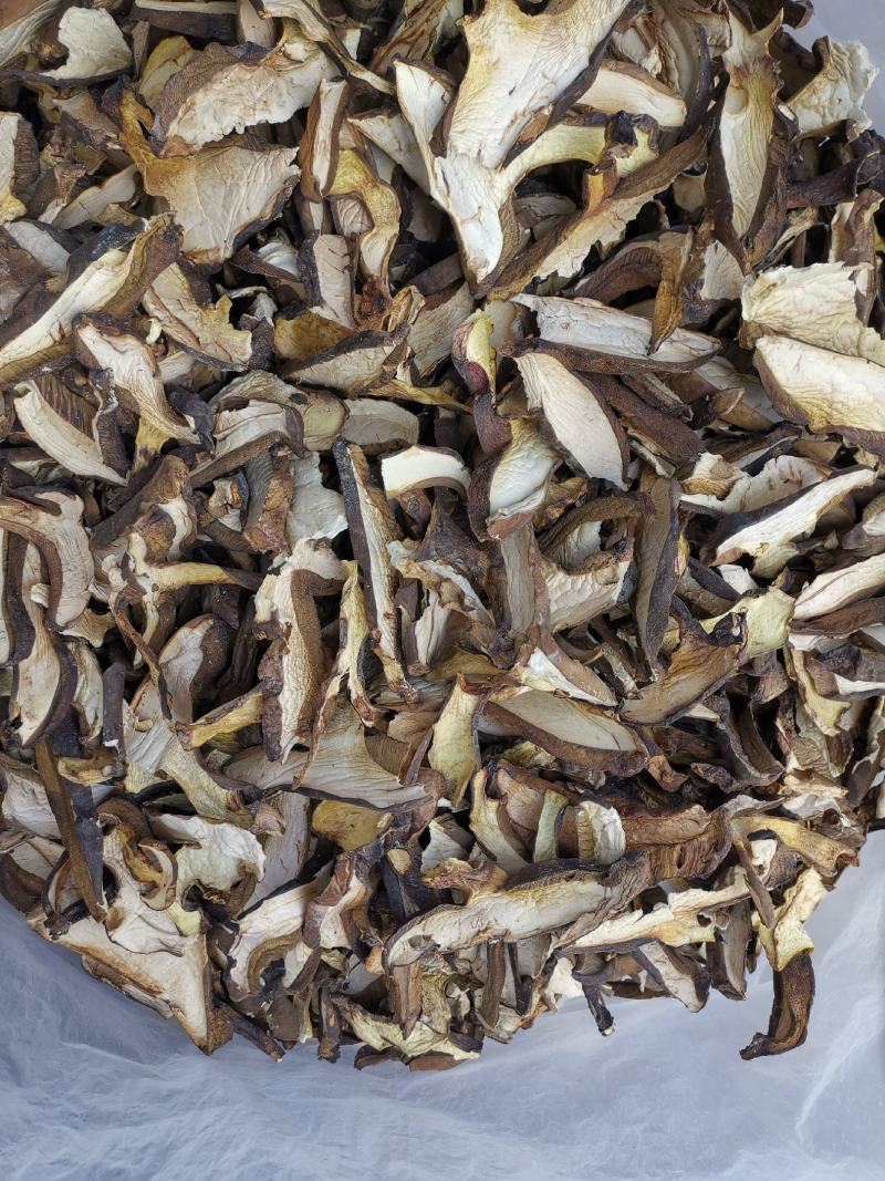 云南特产牛肝菌黑牛肝菌黑木瓦菌老家产地货源大量供应