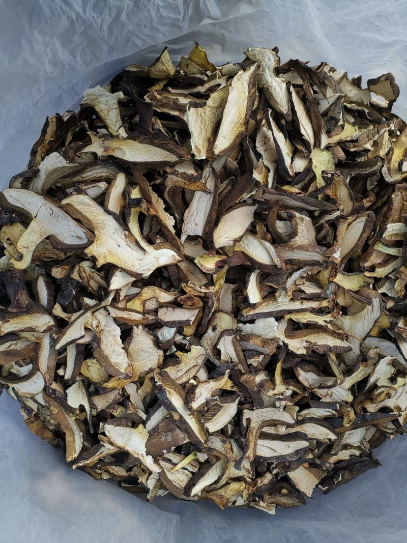 云南特产牛肝菌黑牛肝菌黑木瓦菌老家产地货源大量供应