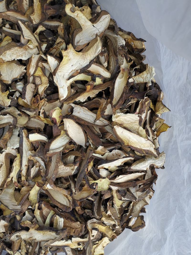 云南特产牛肝菌黑牛肝菌黑木瓦菌老家产地货源大量供应