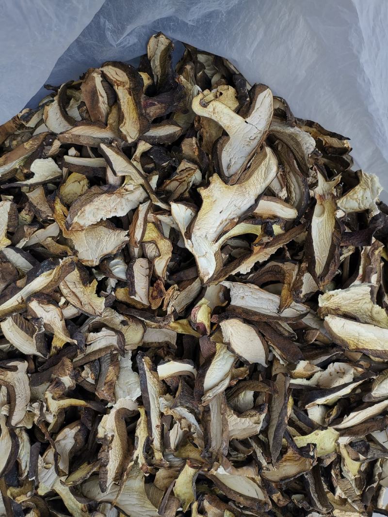 云南特产牛肝菌黑牛肝菌黑木瓦菌老家产地货源大量供应