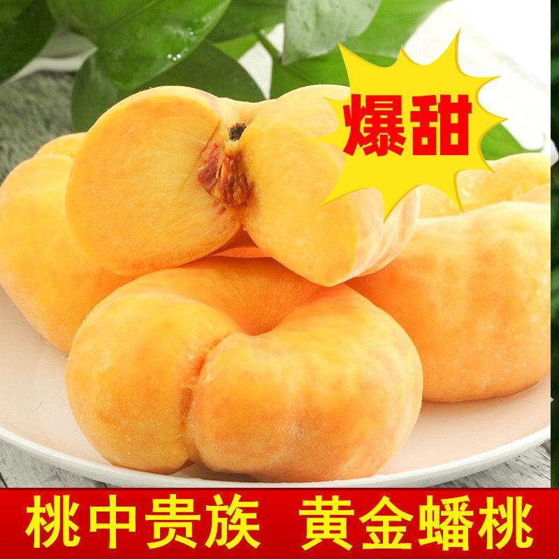 风味皇后桃中贵族黄金蟠桃早熟香甜离核甜度高不裂果桃树苗