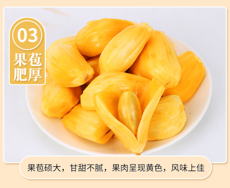 海南黄肉菠萝蜜现摘现发包售后坏果包赔欢迎砸单