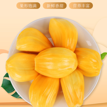 海南黄肉菠萝蜜现摘现发包售后坏果包赔欢迎砸单