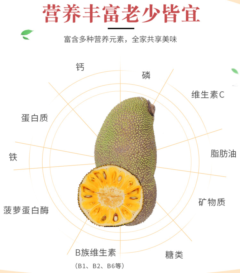 海南黄肉菠萝蜜现摘现发包售后坏果包赔欢迎砸单