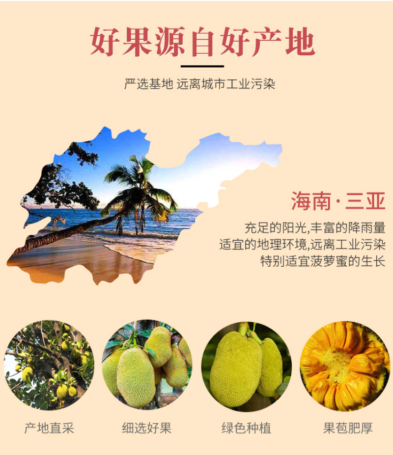 海南黄肉菠萝蜜现摘现发包售后坏果包赔欢迎砸单
